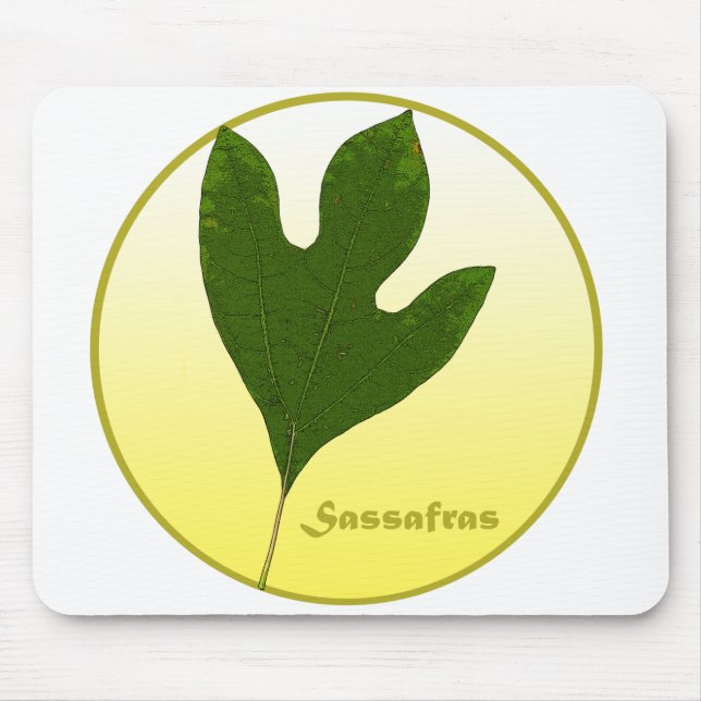 Sassafras Tree Mouse Mat (Front)