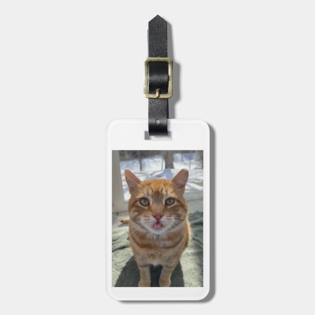 Sassy Cats Luggage Tag (Front Vertical)
