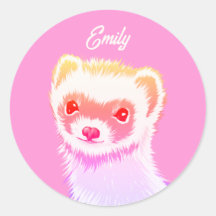 Sassy Ferret In Rainbow Colours