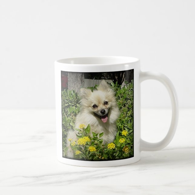 Sassy - Happiness is the love of an adopted Pomera Coffee Mug (Right)