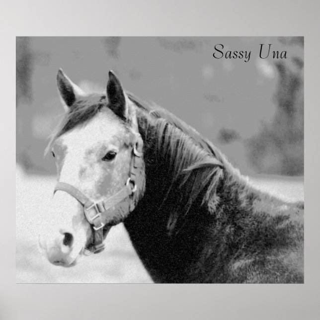 Sassy Una Print (Front)