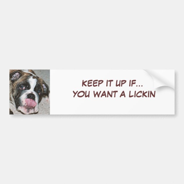 Sassydog Lickin Bumper Sticker (Front)