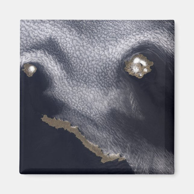 Satellite image of Semisopochnoi Island Magnet (Front)