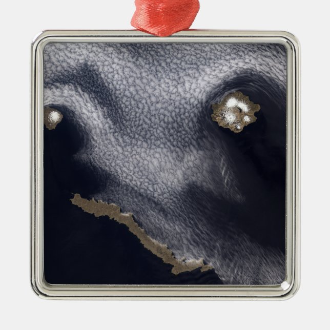 Satellite image of Semisopochnoi Island Metal Tree Decoration (Front)