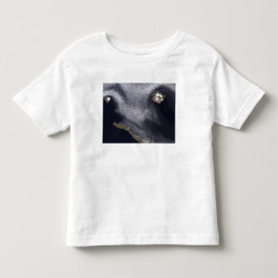 Satellite image of Semisopochnoi Island Toddler T-Shirt