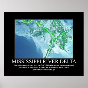 Satellite Image of the Mississippi River Delta Poster