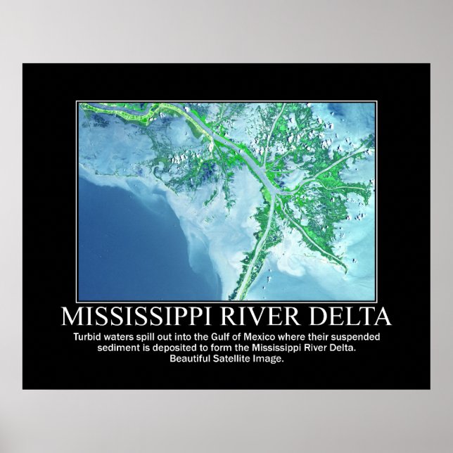 Satellite Image of the Mississippi River Delta Poster (Front)