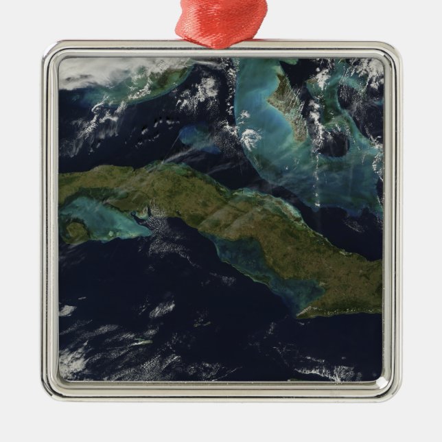 Satellite view of Cuba Metal Tree Decoration (Front)