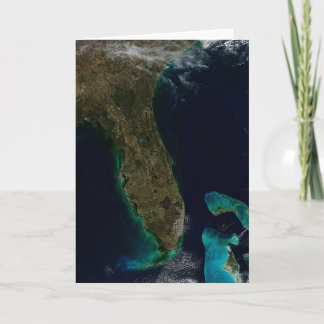 Satellite View Of Florida. Card (Front)