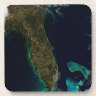 Satellite View Of Florida. Coaster