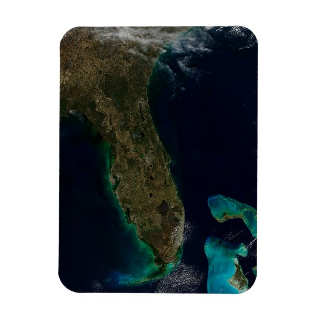 Satellite View Of Florida. Magnet (Vertical)