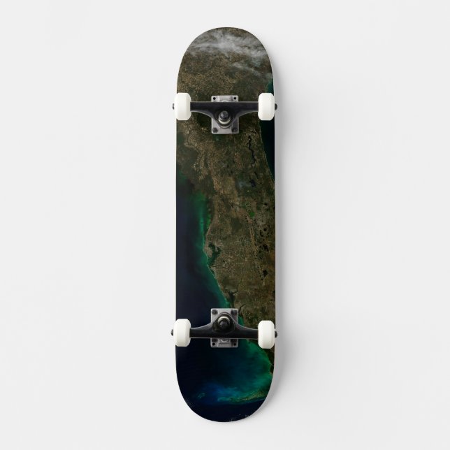 Satellite View Of Florida. Skateboard (Front)