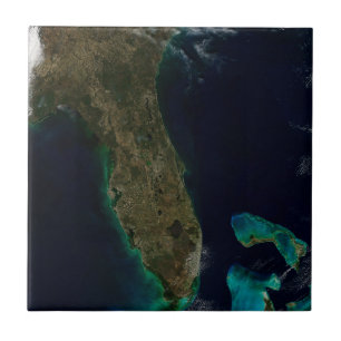 Satellite View Of Florida. Tile