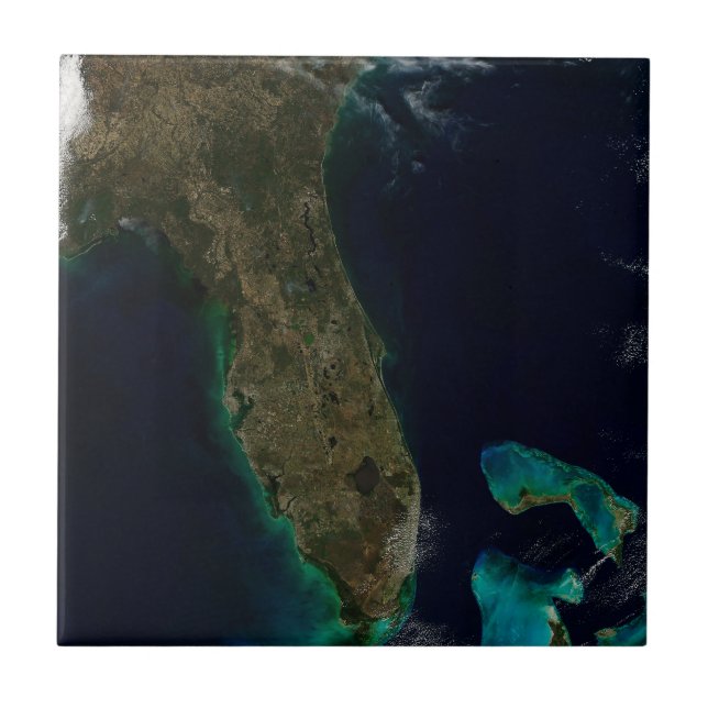 Satellite View Of Florida. Tile (Front)