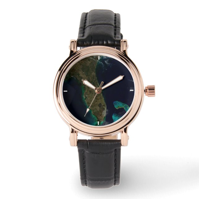 Satellite View Of Florida. Watch (Front)