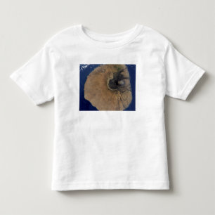 Satellite view of Mount Fogo Toddler T-Shirt
