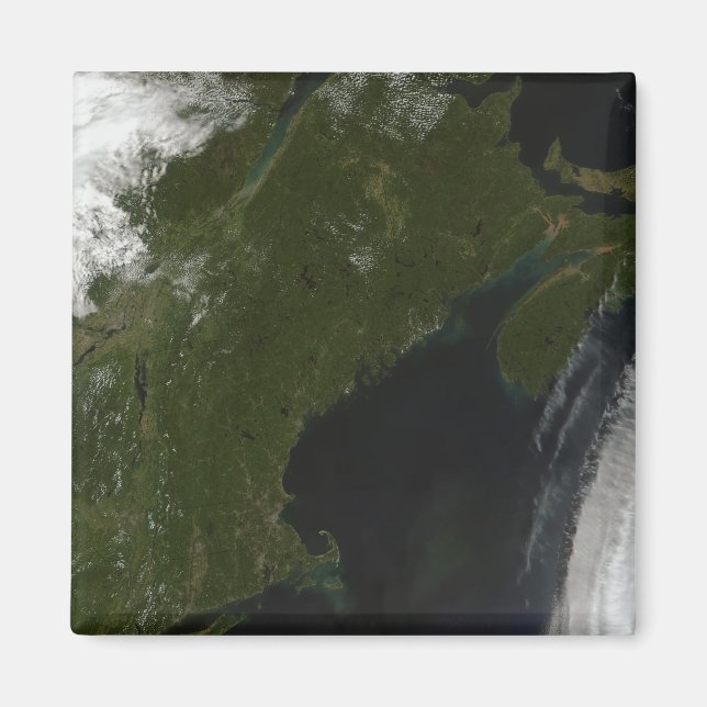 Satellite view of New England Magnet (Front)