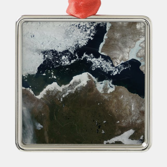 Satellite view of Northwest Canada Metal Tree Decoration (Front)