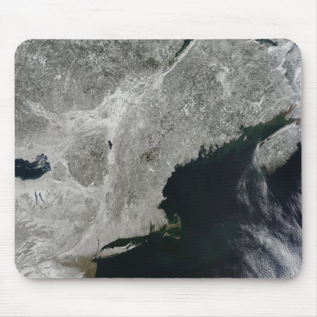 Satellite view of snow mouse mat (Front)