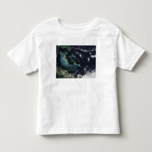 Satellite view of the Bahama Islands Toddler T-Shirt