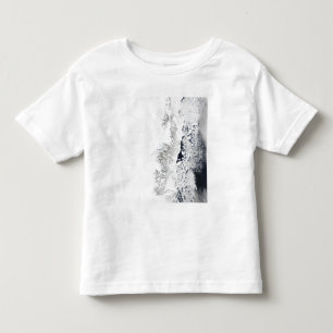 Satellite view of the eastern coast of Greenlan Toddler T-Shirt