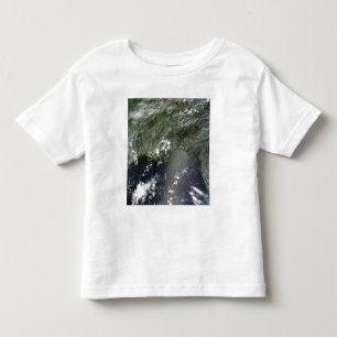 Satellite view of the Gulf of Mexico 2 Toddler T-Shirt