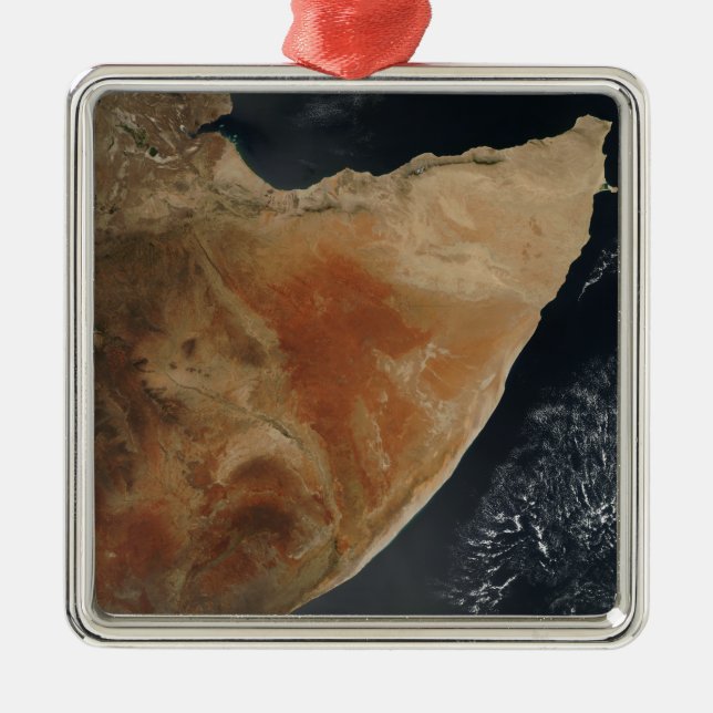 Satellite view of the Horn of Africa Metal Tree Decoration (Front)