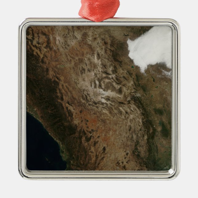 Satellite view of the landscape of central Mexi Metal Tree Decoration (Front)