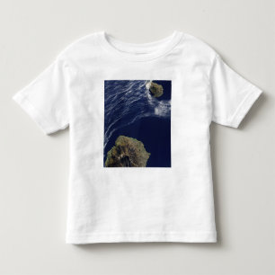 Satellite view of the Prince Edward Islands Toddler T-Shirt