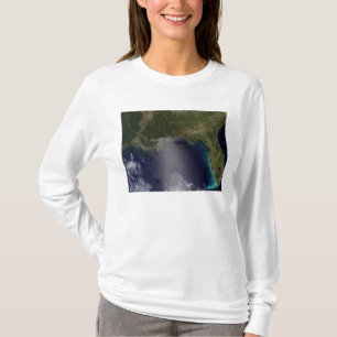 Satellite view of the Southeastern United State 2 T-Shirt