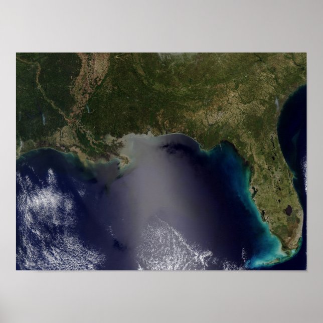 Satellite view of the Southeastern United State Poster (Front)