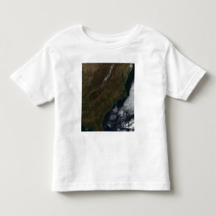 Satellite view of the Southeastern United State Toddler T-Shirt