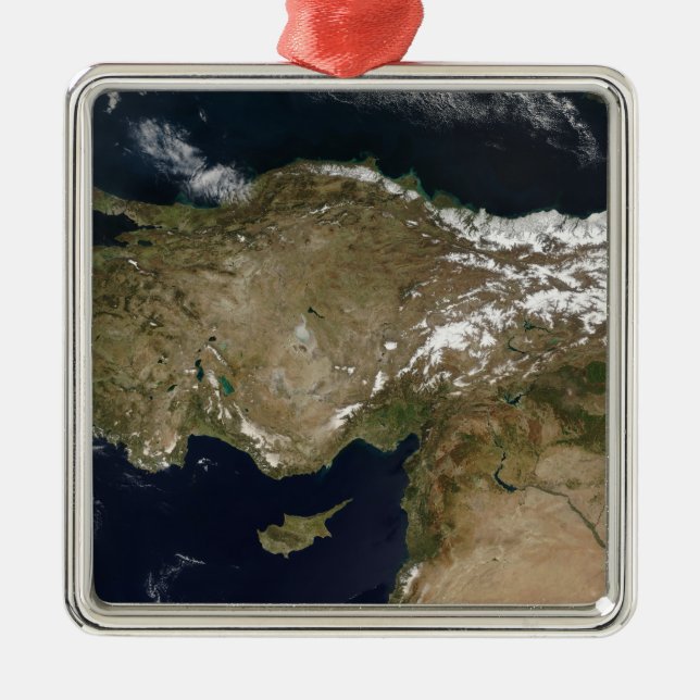 Satellite view of Turkey Metal Tree Decoration (Front)