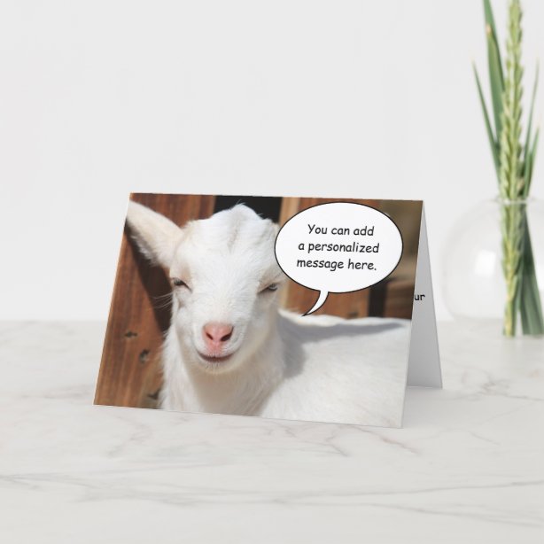 Goat Kid Cards | Zazzle UK