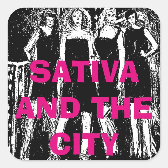 SATIVA AND THE CITY SQUARE STICKER (Front)