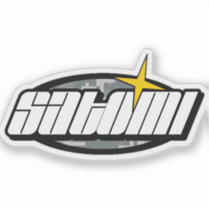 satomi motorsport Action