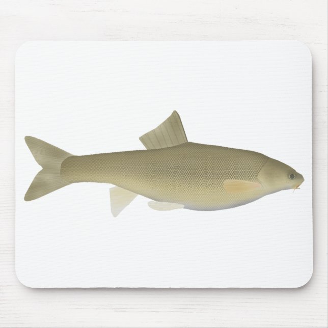 Sattar Snowtrout Mouse Mat (Front)