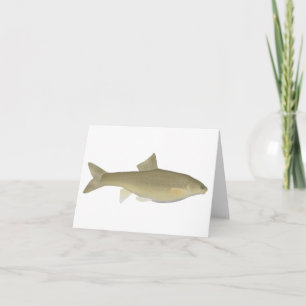 Sattar Snowtrout Note Card