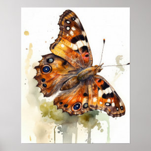 Satyr Butterfly Art Print Poster