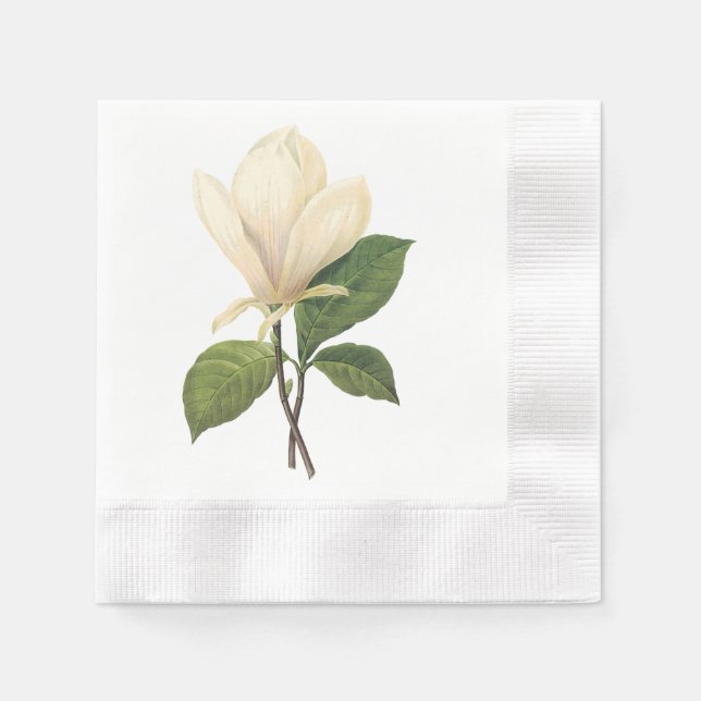 saucer magnolia(Magnolia soulangiana) by Redouté Napkin (Front)