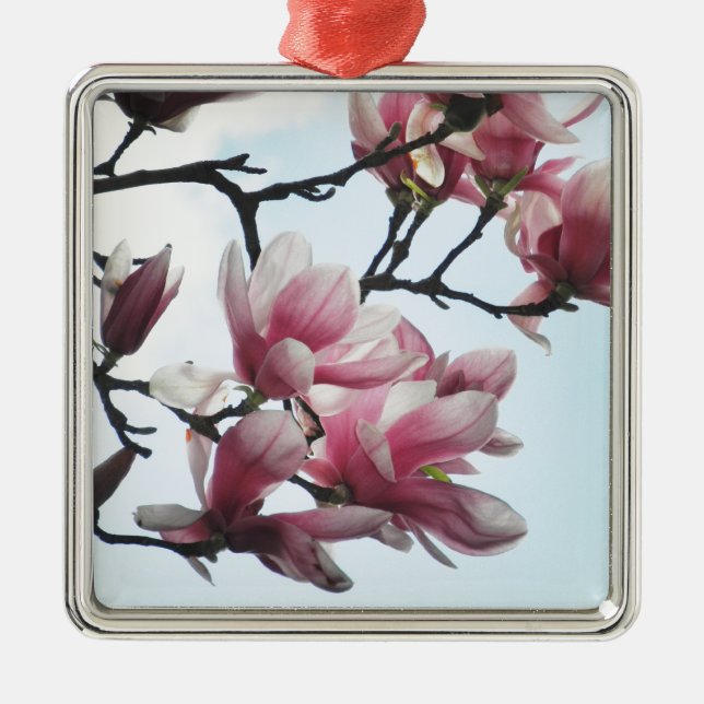 Saucer Magnolia Tulip Tree Flowers Photo Metal Tree Decoration (Front)