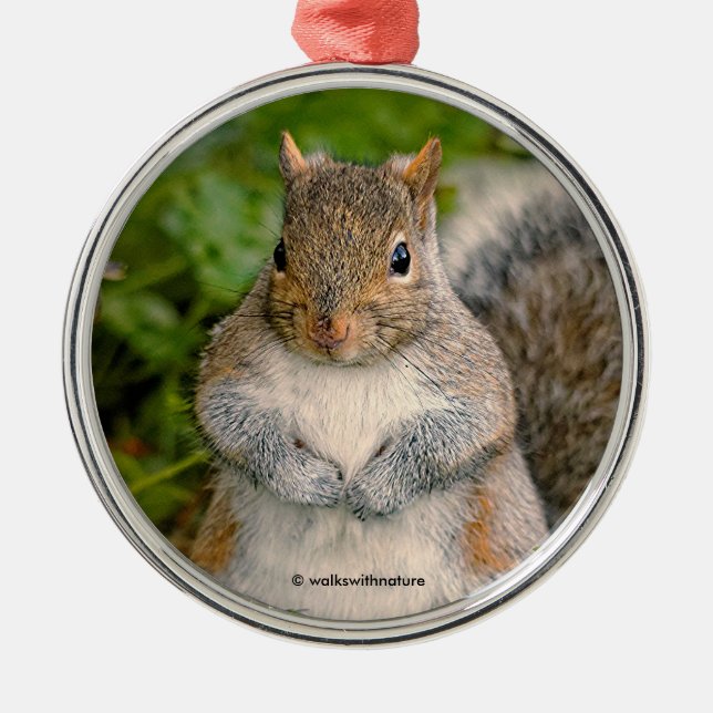 Saucy Cute Squirrel Could You Spare a Peanut? Metal Tree Decoration (Front)