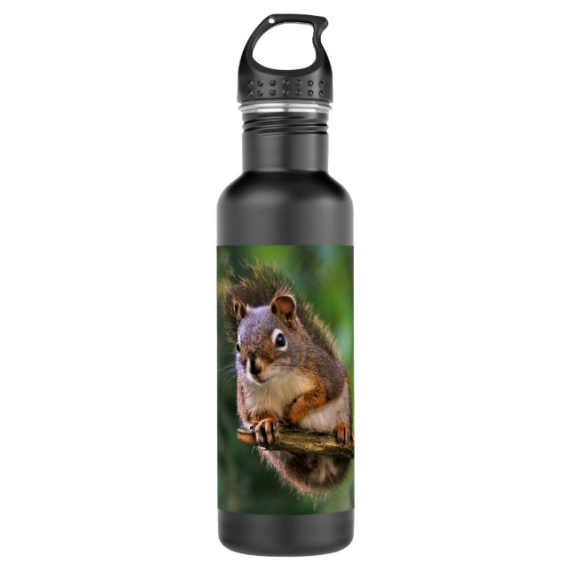Saucy Red Squirrel in the Fir 710 Ml Water Bottle (Front)