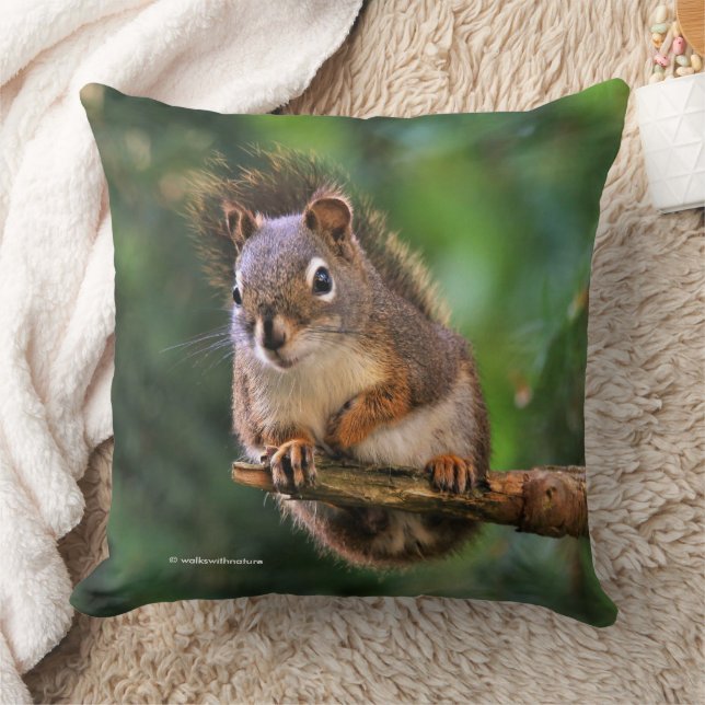 Saucy Red Squirrel in the Fir Cushion (Blanket)