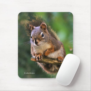 Saucy Red Squirrel in the Fir Tree Mouse Mat