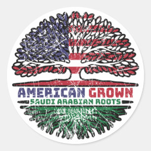 Saudi Arabia Arabian US American USA United States Classic Round Sticker