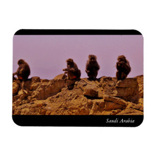 Saudi Arabia Magnet