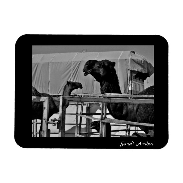 Saudi Arabia Magnet (Horizontal)