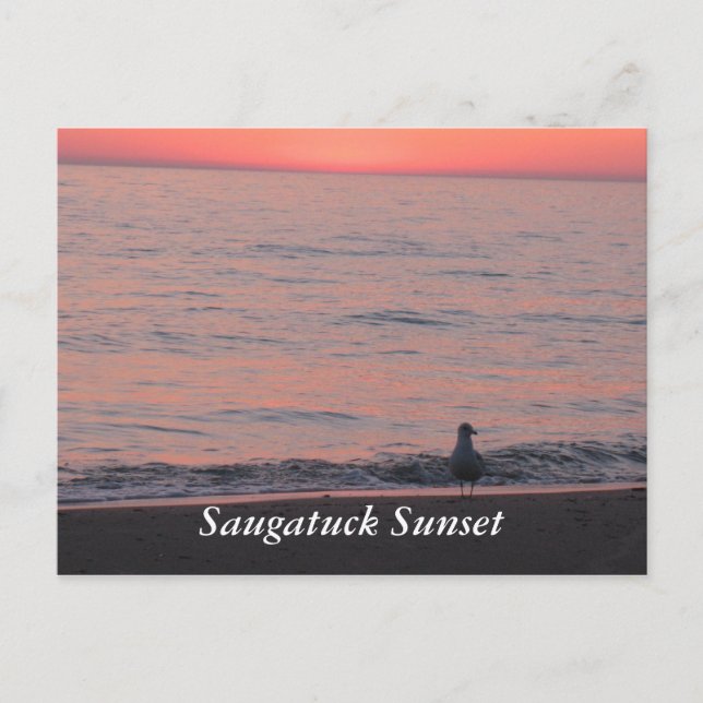 Saugatuck Sunset Postcard (Front)