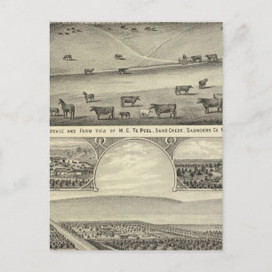 Saunders County Farms, Nebraska Postcard